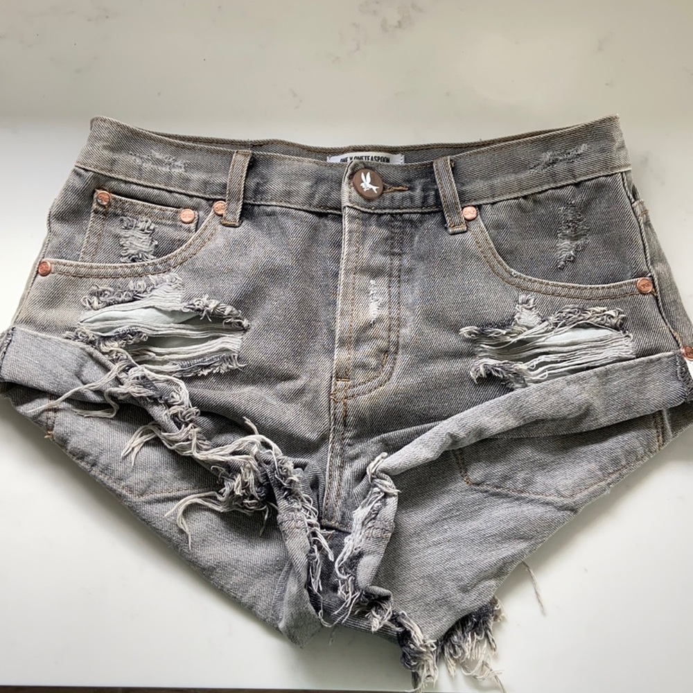 One Teaspoon Bandit Shorts Size 24